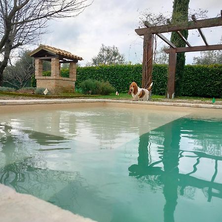 Ca' Le Cerque, Villa Surrounded By The Marche Nature Fossombrone Luaran gambar