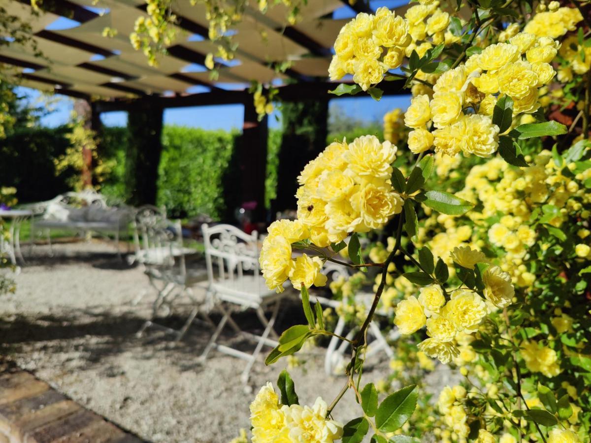 Ca' Le Cerque, Villa Surrounded By The Marche Nature Fossombrone Luaran gambar