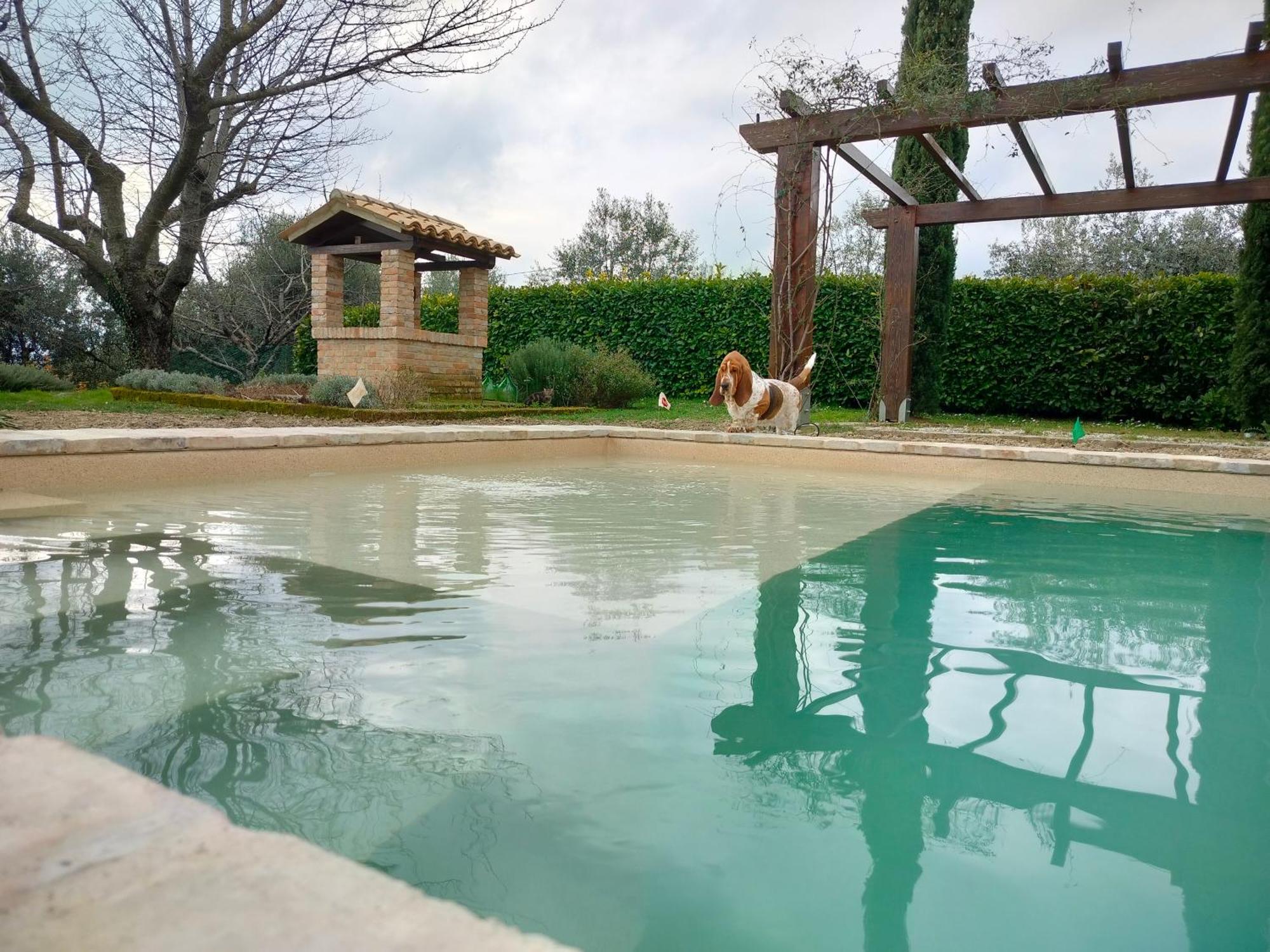 Ca' Le Cerque, Villa Surrounded By The Marche Nature Fossombrone Luaran gambar
